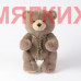 Мягкая игрушка Медведь JX705023907BR
